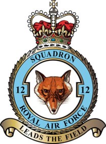 12 Squadron RAF Badge
