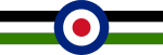12 Squadron RAF Roundel