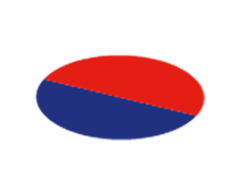 9 Regt RAA Unit Colour Patch
